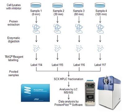 discovery-proteomics