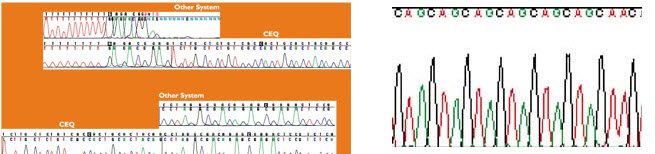 dna-sequencing