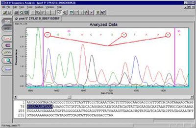 dna-sequencing