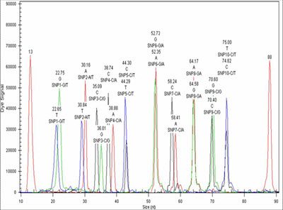 genotyping-and-snp-analysis